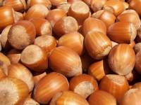 these are nuts these are nuts