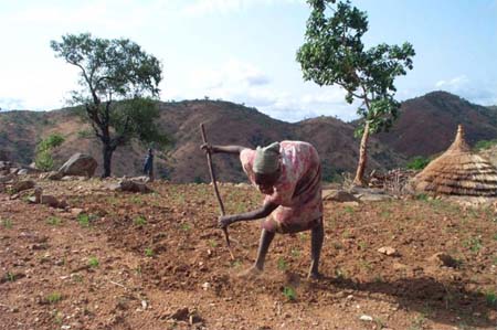nuba_farming_1.jpg nuba_farming_1.jpg