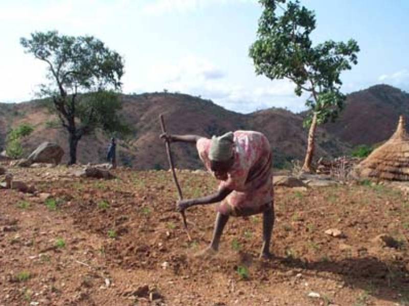 nuba_farming_1.jpg