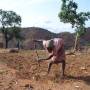 nuba_farming_1.jpg