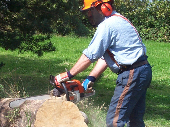 chainsaws.jpg