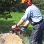 chainsaws.jpg