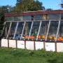 greenhouses.jpg