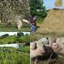 smallholding.jpg